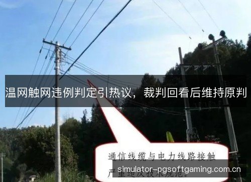 温网触网违例判定引热议，裁判回看后维持原判